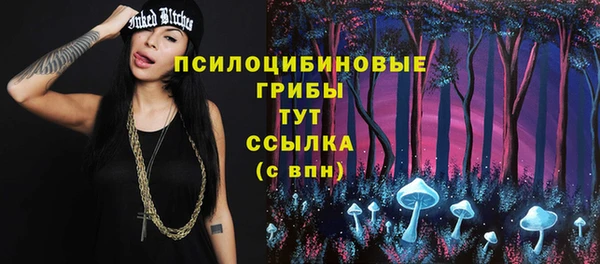 гидра Абинск