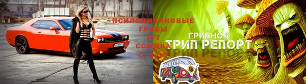 прущий лед Абдулино